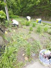 Steris volunteers help beautify the Ellen Shortess garden at the 1915 Erie Station Museum in Spring 2022.