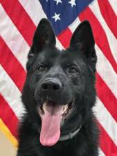 Chester PD K9 Officer Lou will soon have his own body armor.