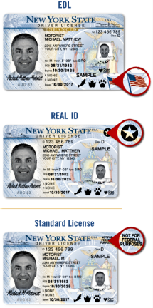 Comparison of standard, REAL ID and Enhanced identification.
