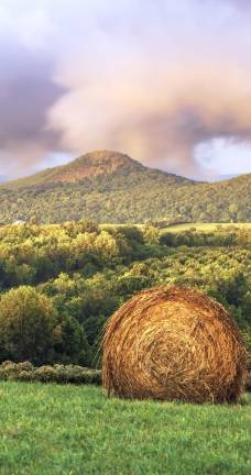 Pasture, orchard, Sugar Loaf Mountain