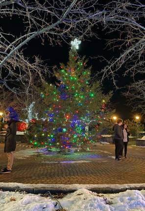 “Holiday Lights in Bloom” from previous years.