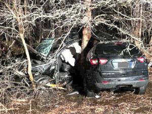 Driver injured after car hits tree