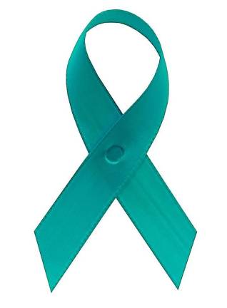 Title IX Harassment and Assault Awareness Ribbon