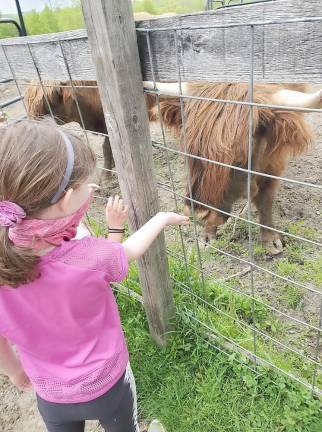 “During the tour of Banbury Cross Farm, Goshen Girl Scout Troop 805 got to feed the turkeys and ducks, help bring the sheep into the pasture, collect the chicken eggs and, their favorite, feeding the horses a treat.