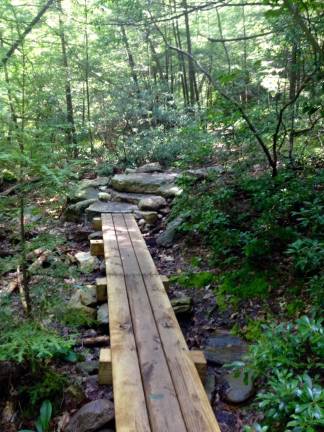 A trail at Goosepond Mountain State Park
