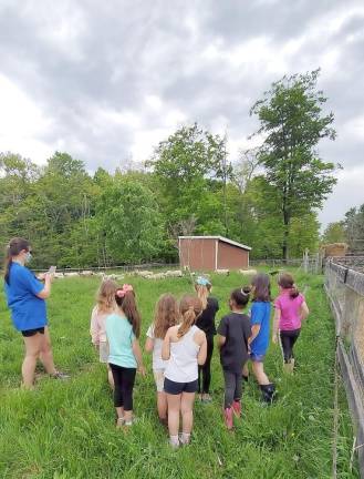 Gost Girl Scout Troop 804 were given a very hands-on experience during the girls’ recent tour of Banbury Cross Farm. Photos provided by Christine Cullen Schepps.