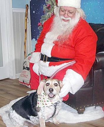 Santa Claus lovingly looks at his sidekick, Mabel. Santa, owner of the rescue beagle and blue tick mix, has already spent two happy years with her.