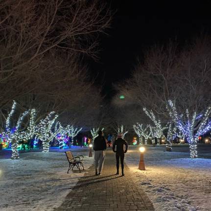 “Holiday Lights in Bloom” from previous years.