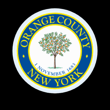 Two on the ballot for Orange County Executive: Neuhaus and Sussman Two on the ballot for Orange County Executive: Neuhaus and Sussman