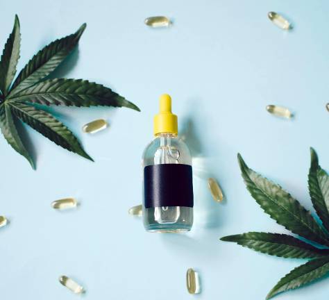 State launches ‘Higher Education’ campaign to empower consumers with cannabis knowledge The New York State Office of Cannabis Management has launched the “Higher Education” statewide campaign to give New Yorkers easy access to evidence-based cannabis education. Photo illustration by Alesia Kozik via pexels.com.