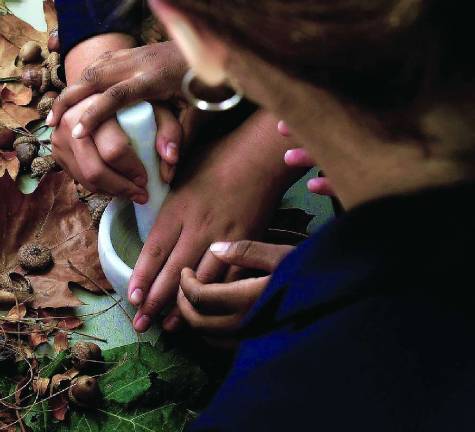 Sowing the seeds of diversity, above and below ground Learning the uses of acorn flour from a Naragansett tribal member at Union Theological Seminary, Center for Earth Ethics. Photo: Elio Bernardo