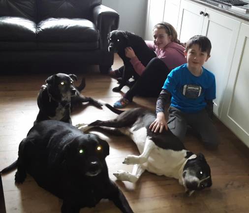 Front: Harley (L) and Bugsy (R) being pet by Blake. Back: Hope (L), andRambo (R) being pet by Keira. Harley and Rambo are the newest additions.