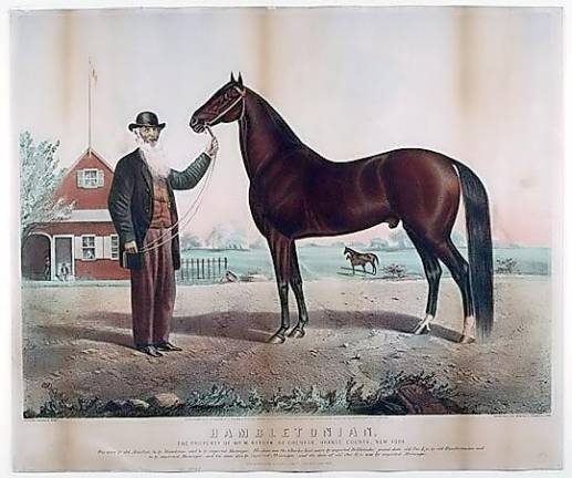 Orange County, and Goshen in particular, is the birthplace of Hambletonian 10, the ancestor of all American Standardbred horses.