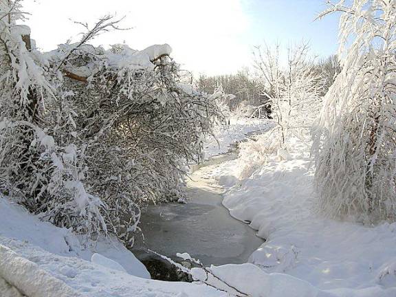 Residents on Old Chester Road in Goshen woke up to a winter wonderland on Tuesday, after a day and a half of mixed weather conditions the previous day. That’s the Otter Kill streaming through a field.