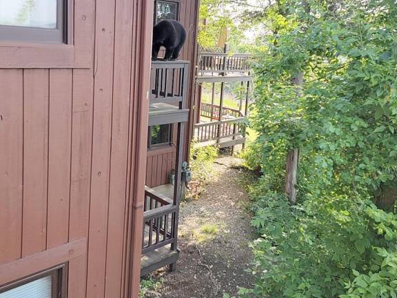 The bare bones about bear encounters A black bear on a two-story deck in Great Gorge Village, Vernon, NJ.