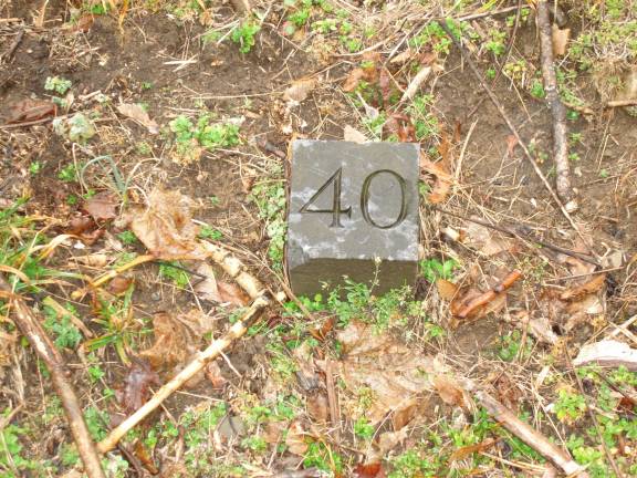 A numbered ground-level grave marker (Photo by Geri Corey)