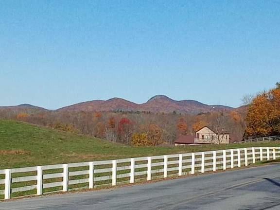 View from Bellvale Lakes Road. Photo: Laura Dally