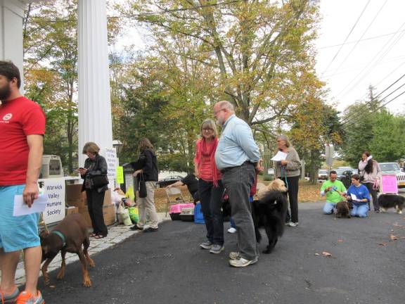 A blessing for Princess Buttercup, and other bright creatures People and pets line up for blessings (Photo by Ginny Privitar)