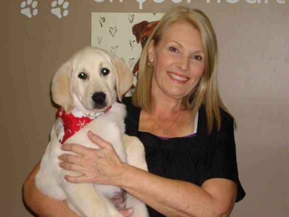 Goshen will get you through the holidays in style Will your dog look his best for the holidays? Jean Attolino, owner of Groomingdales, is pictured with Newton, a three-month-old Lab puppy who's ready to meet and greet (Photo by Geri Corey)