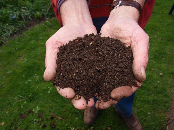 Discounted compost bins, rain barrels available Discounted compost bins, rain barrels available