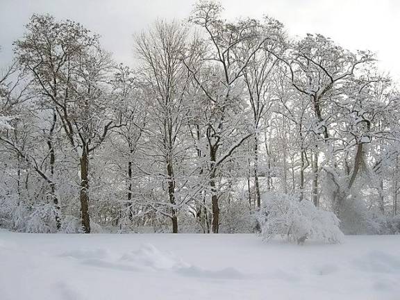 Winter wonderland Winter wonderland