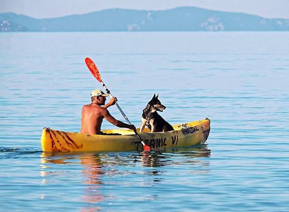 ‘Clean, drain, and dry’ watercraft and equipment to protect New York’s waters from invasive species, says DEC