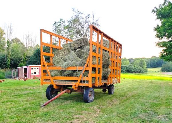 After public outcry, Wagon Wheel Farm to remain protected farmland