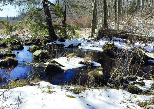 Woods and water take on a different beauty in winter.