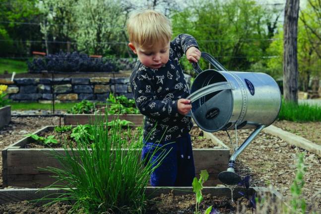 5 Tips for Gardening with Kids Photo courtesy of Unsplash