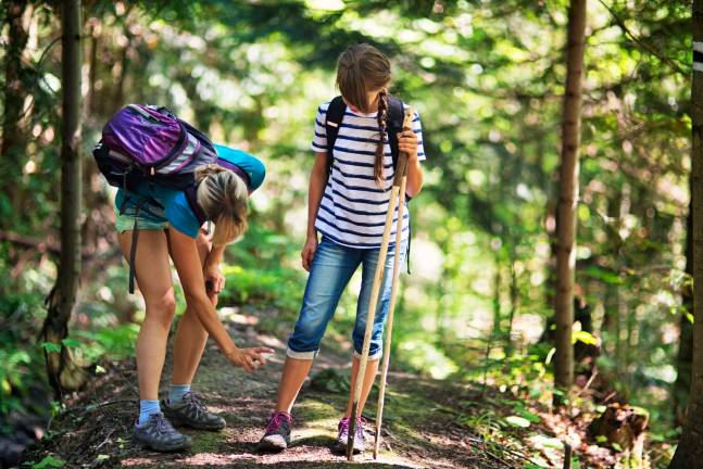 Learn the basics of protecting yourself from ticks Learn the basics of protecting yourself from ticks