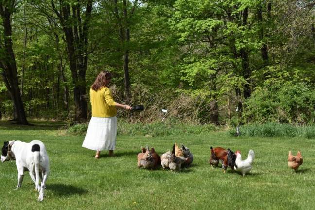 Coop dreams Gilda Burke with her flock in the Town of Warwick. She has a waiting list 15 deep for her eggs.