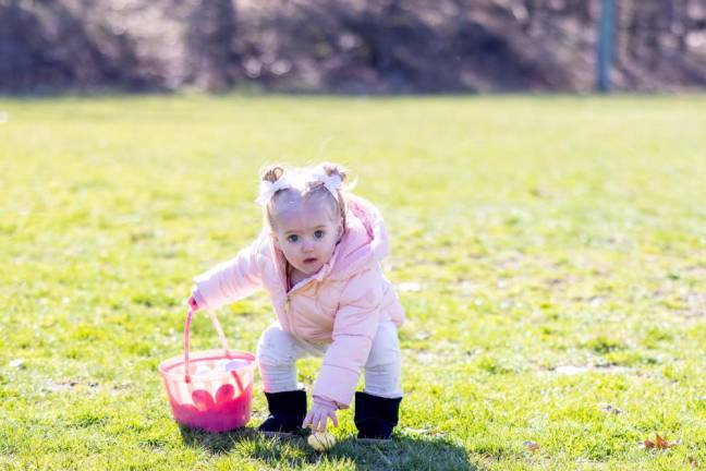 Isla Hanshaw from Chester putting eggs in her pink basket at the PBA annual Easter Egg Hunt at Chester Commons Park. Photo by Sammie Finch