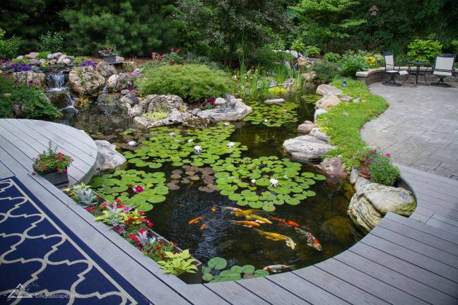Tickets Now Available: Water Garden & Pond Tour July 19 One of many water features to see during this year’s Water Garden & Pond Tour, hosted by Garden State Koi.