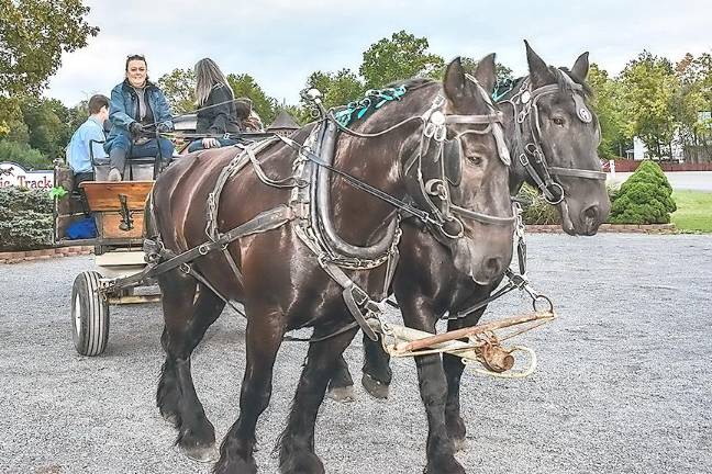 Historic Track offers day of holiday fun before tree lighting