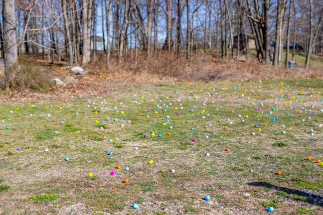 Over 7,000 candy filled eggs were set up on Chester Commons Fields for the PBA annual Easter Egg Hunt. Photo by Sammie Finch