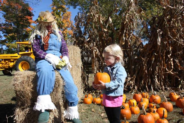 The Friends of Hill Hold and Brick House Museums will host their annual Pumpkin Festival at Hill Hold Museum on Saturday, Oct. 5, from noon to 4 p.m.