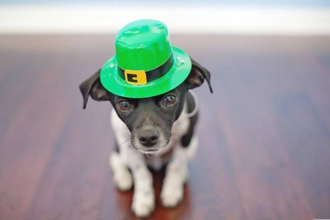 Mid-Hudson St Patrick’s Parade coming back to Village of Goshen