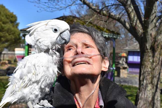 Sanctuary sues local SPCA for return of 45 seized animals Rebecca Vives with Cinco, an umbrella cockatoo that came to the sanctuary from a neglectful situation. Photo by Becca Tucker