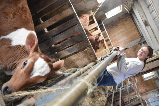 Laina Southway's favorite part of farming is caring for the calves.