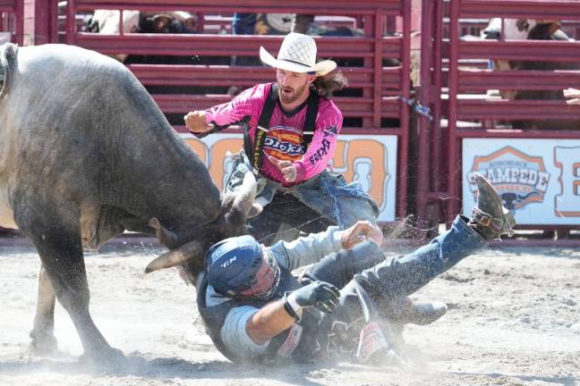 Stampede Bullriding Rodeo Held at Orange County Fairgrounds A rider during the Stampede Bullriding Rodeo. Many of them were thrown off their “raging bulls” before the required 8 seconds.