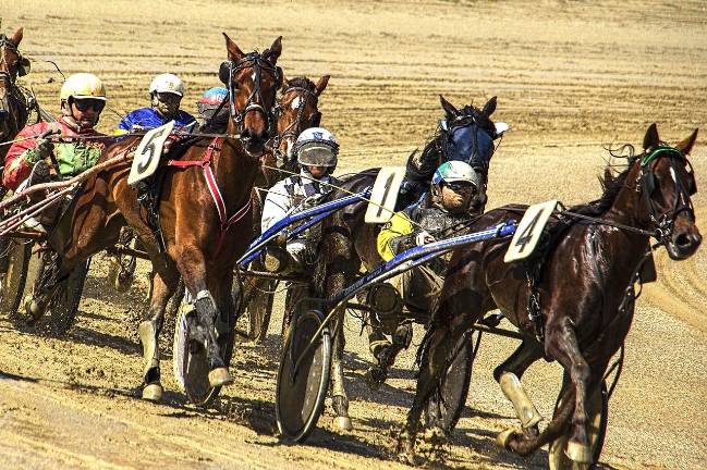 Harness Racing Museum closed for Hambletonian Day Harness Racing Museum closed for Hambletonian Day