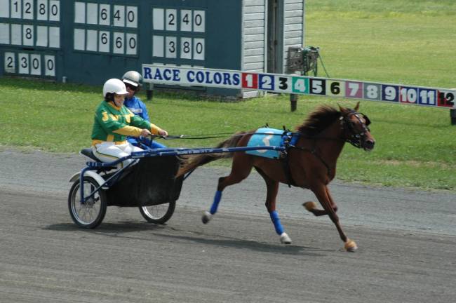 Standardbred racing at Goshen's Historic Track