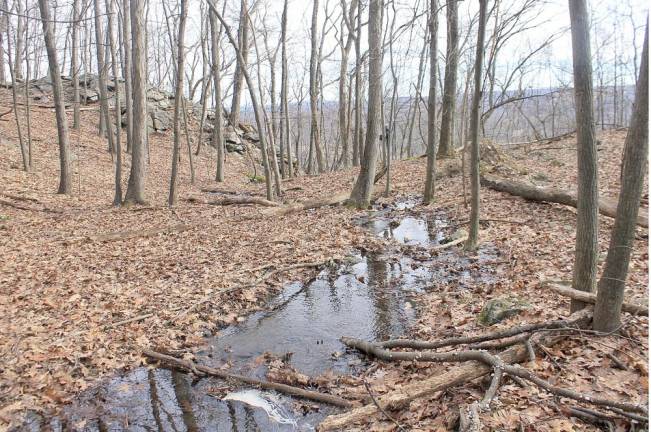 Mt. Eve-Warwick: Twenty-nine acres of land adjacent to a 26-acre property that had been previously protected by the Land Trust. The property is located within the Amity Wetlands-Mt. Eve Corridor ,a priority project area cited in the Land Trust’s Strategic Conservation Plan.