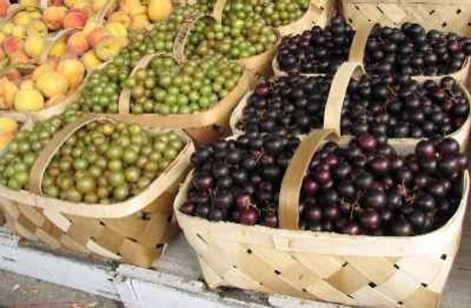 New York lists farmers' markets on website New York lists farmers' markets on website