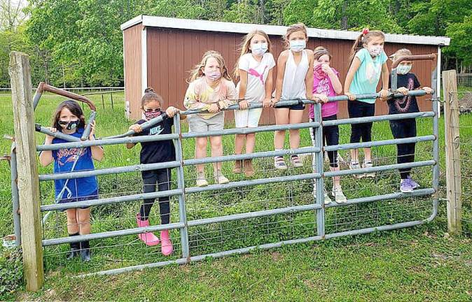 Goshen Girls Scout Troop 804 had a farm tour experience at Banbury Cross Farm they’ll never forget.