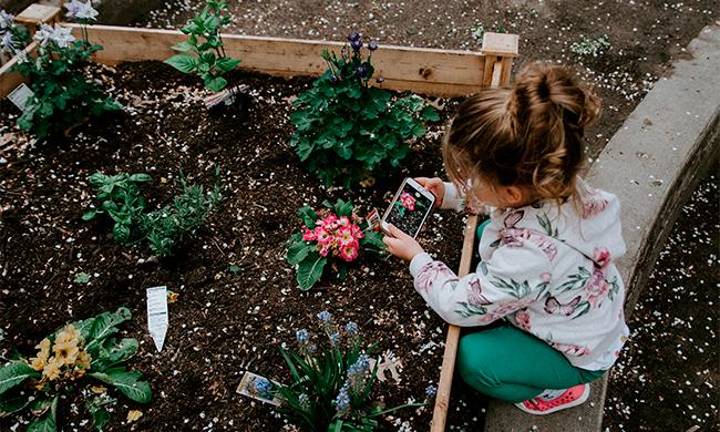 7 Frugal Gardening Tips and Tricks Photo courtesy of Unsplash