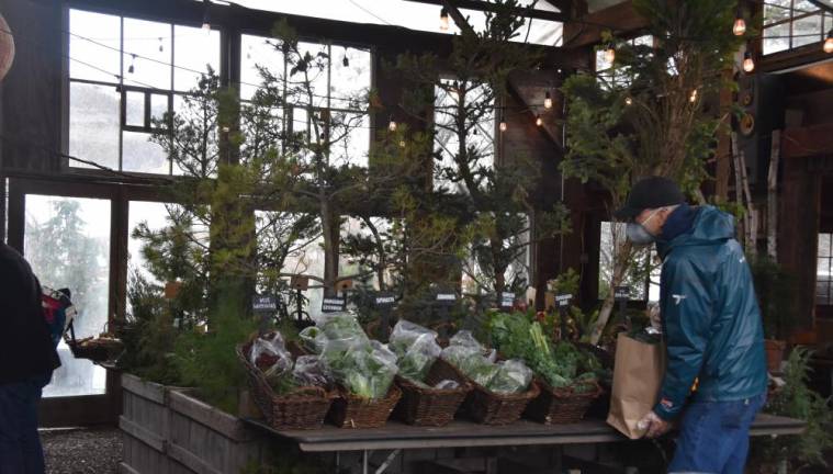 A customer shopping for greens on Sunday at Blooming Hill in Monroe. Latex gloves were provided at the door.