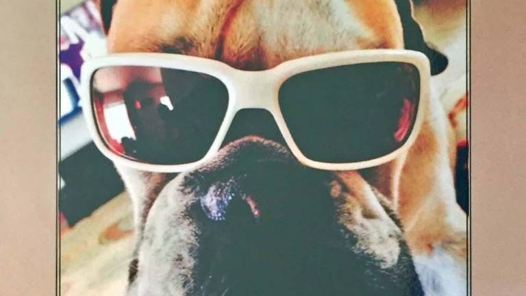 'Bulldog Your Way Through Cancer' 'Bulldog Your Way Through Cancer'