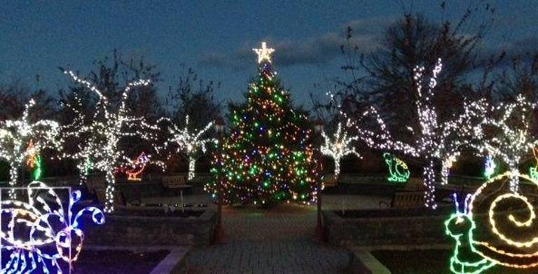 “Holiday Lights in Bloom” from previous years.