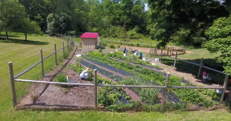 Aysha’s garden in Chester, N.Y., is on the map for this year’s Kitchen Garden Tour. She also has chickens, a greenhouse and a mushroom stand.